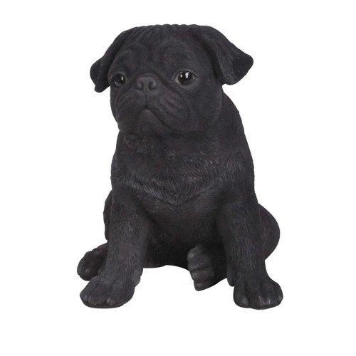 Pugs: What's Good About 'Em, What's Bad About 'Em