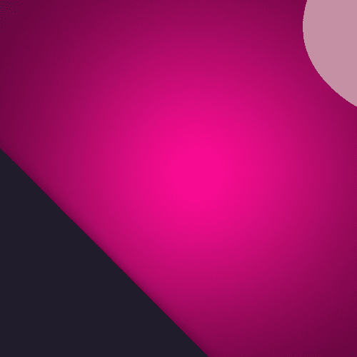 Dog Competitions That Test Intelligence, Speed, and Loyalty